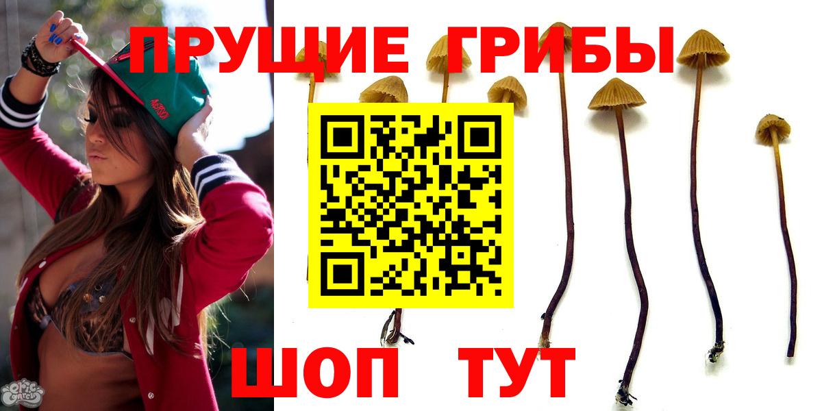 Меф Кольчугино