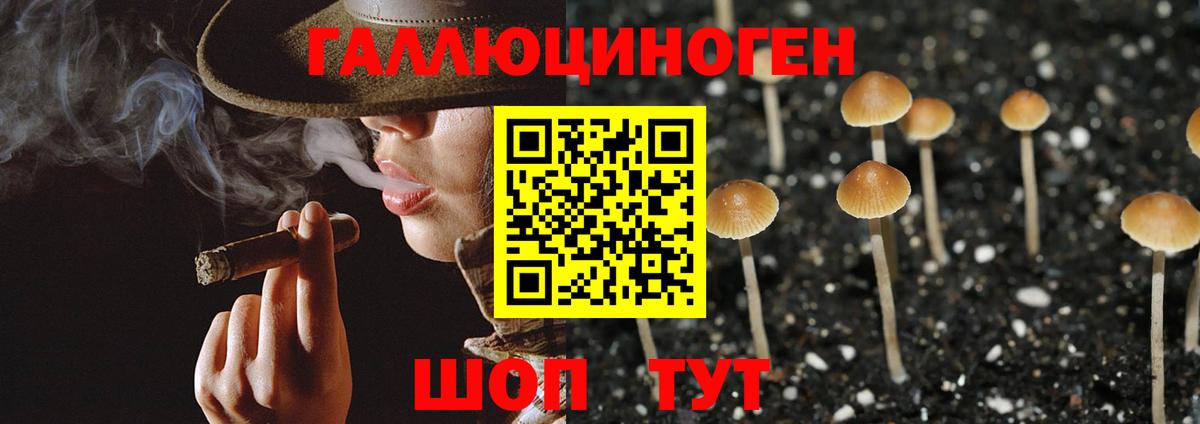 Псилоцибиновые грибы ЛСД Кольчугино