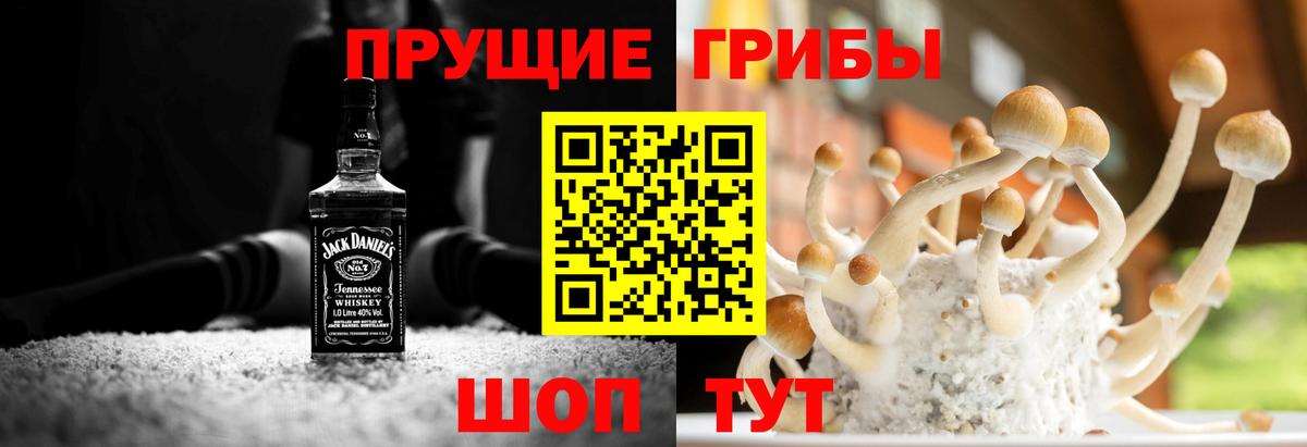 Псилоцибиновые грибы GOLDEN TEACHER  Вход с VPN  Кольчугино  Галлюциногенные грибы Psilocybine cubensis 